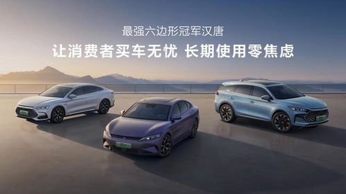 比亚迪汽车涨价多少了 比亚迪汽车涨价多少了