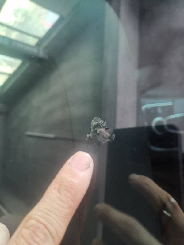 汽车裂痕修复多少钱 汽车裂痕修复多少钱