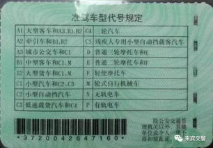 汽车座位险该买多少 汽车座位险该买多少