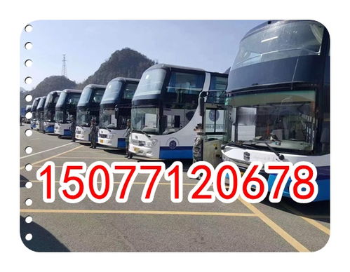 新干到漳州多少钱汽车 新干到漳州多少钱汽车