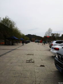梨树湾汽车教学收费多少 梨树湾汽车教学收费多少