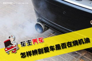 如何判断汽车机油是多少 如何判断汽车机油是多少