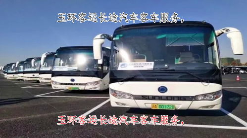 淮南到蒙城汽车多少钱