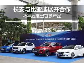 比亚迪汽车投资长沙多少 比亚迪汽车投资长沙多少
