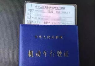 补办汽车牌照多少钱