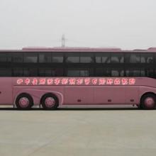 泉州到厦门汽车多少钱
