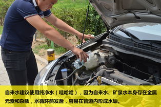 汽车水箱盖高度多少 汽车水箱盖高度多少