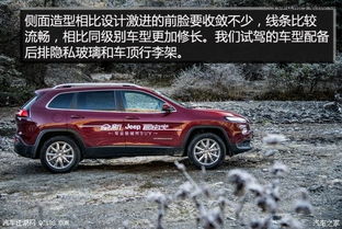 国产汽车油箱多少升的 国产汽车油箱多少升的