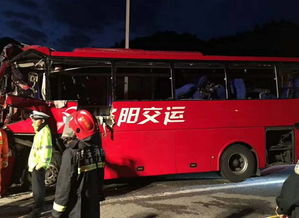 汽车时速多少能撞伤人 汽车时速多少能撞伤人