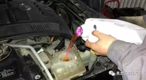 汽车防冻液多少钱一瓶 汽车防冻液多少钱一瓶