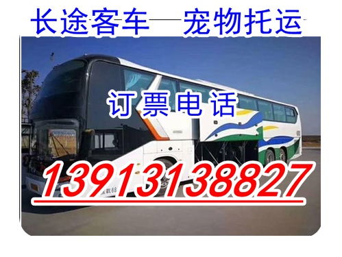 泉州到咸丰汽车票多少钱