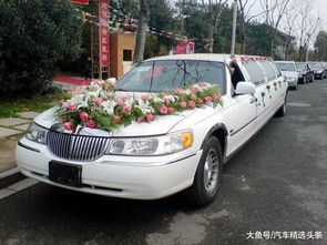 加长版长城汽车多少钱 加长版长城汽车多少钱