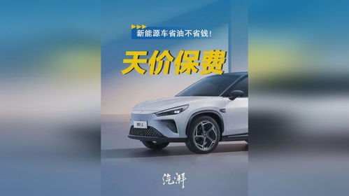 汽车一共有多少险 汽车一共有多少险