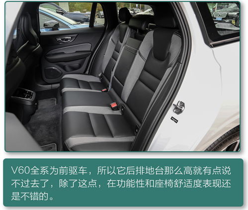 汽车上放多少酒精合适