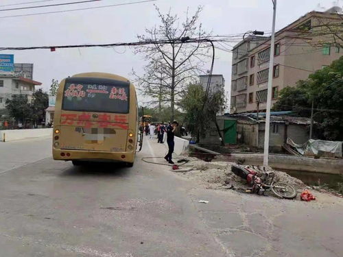 普宁到揭阳汽车多少钱 普宁到揭阳汽车多少钱