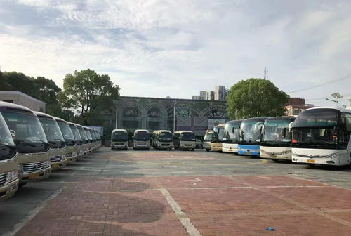 肃宁汽车价格是多少 肃宁汽车价格是多少