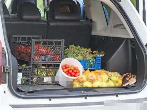 汽车可以拉多少蔬菜水果 汽车可以拉多少蔬菜水果