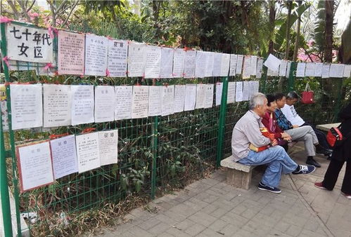 深圳营运汽车年检多少钱