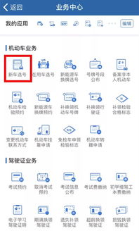 汽车选号需要多少天审核