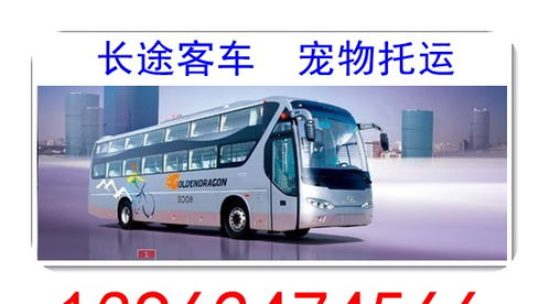 涡阳到常州汽车多少钱