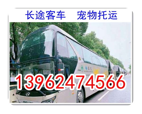 泰安到济宁汽车多少钱