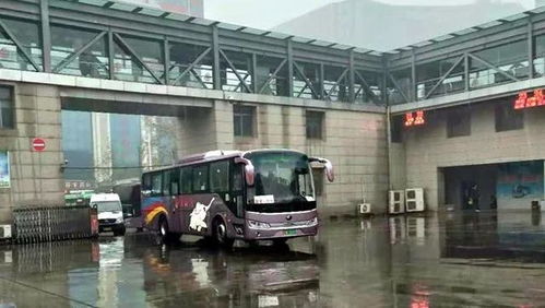 周口汽车站小姐多少钱 周口汽车站小姐多少钱