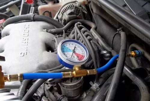 汽车雪种油加多少