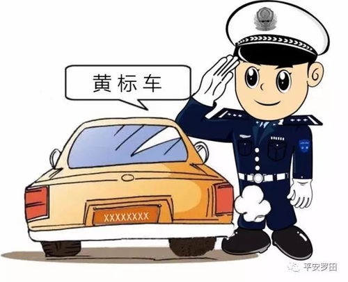 汽车多少年黄标 汽车多少年黄标