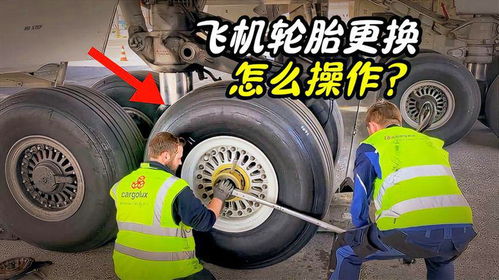 汽车换轮子多少钱