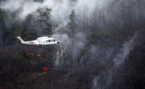 韩国宣布多地进入灾难状态 韩国宣布多地进入灾难状态