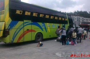 海南汽车过渡多少钱 海南汽车过渡多少钱