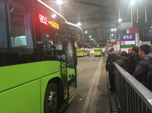 老年团挤不上公交拦路要求加车