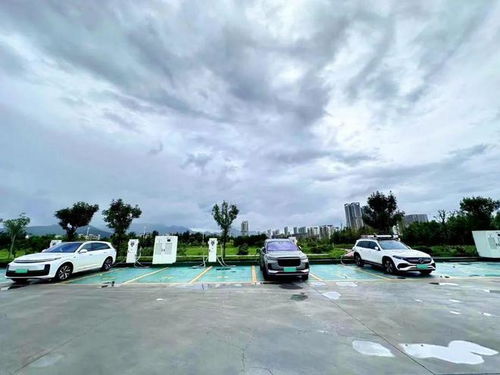 济宁邹平汽车多少钱 济宁邹平汽车多少钱