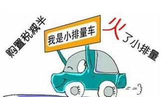 小型汽车购置税多少 小型汽车购置税多少