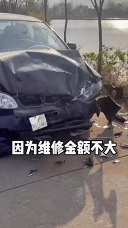 汽车碰到猪头赔多少