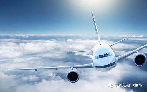 飞机空运汽车装多少台车 飞机空运汽车装多少台车