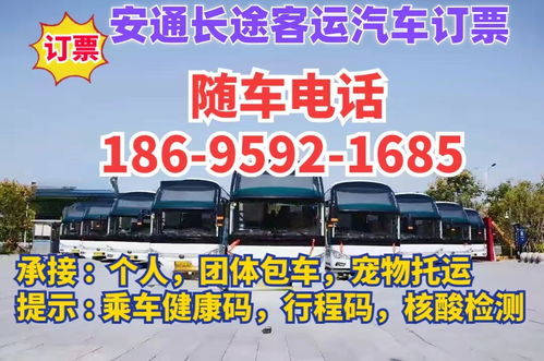 仁寿到江门汽车票多少