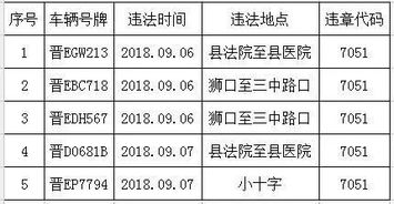 汽车违章代码是多少号 汽车违章代码是多少号