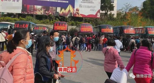 东莞到容县汽车费多少