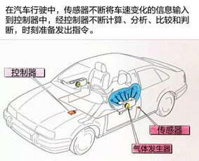 汽车安全带成本多少 汽车安全带成本多少