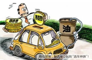 汽车保养保险怎么看多少 汽车保养保险怎么看多少