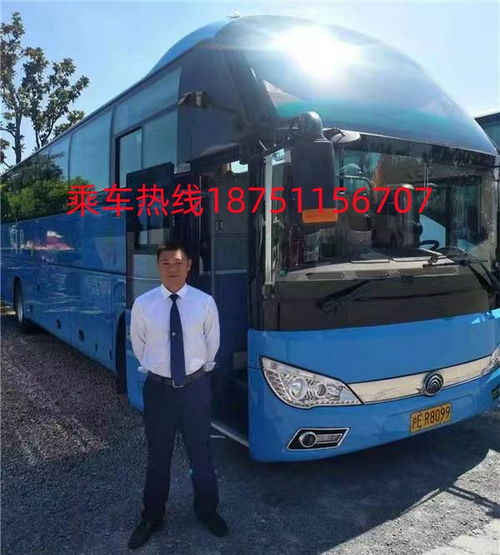 郑州到新蔡汽车多少钱
