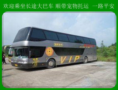 慈溪到朱家尖多少钱汽车 慈溪到朱家尖多少钱汽车