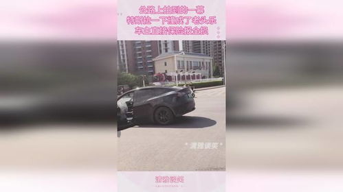 汽车全损能报多少