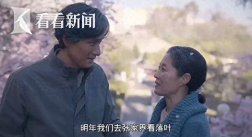 张家界邀请苦尽柑来遇见你剧组