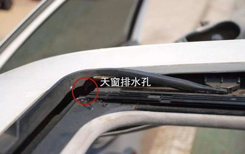 汽车加天窗要多少钱 汽车加天窗要多少钱