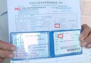 汽车保险强险多少钱