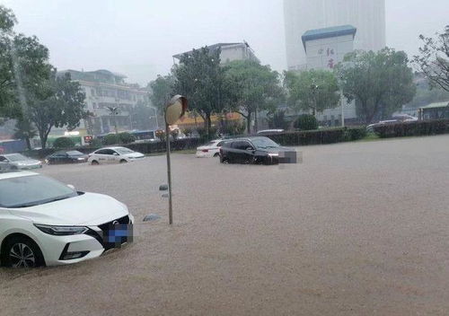 汽车水泡了保险赔多少 汽车水泡了保险赔多少