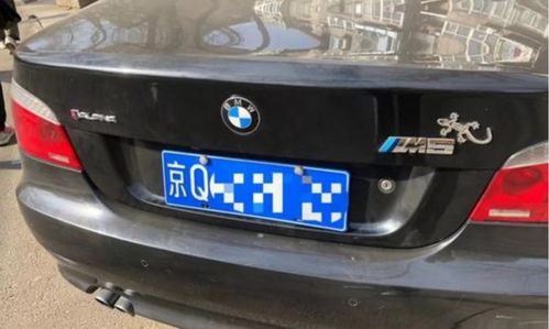 壁虎汽车贴多少钱 壁虎汽车贴多少钱