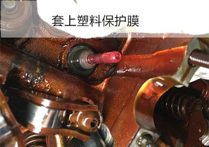 换汽车气门油封多少钱